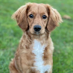 Meet your Posher, Bethany